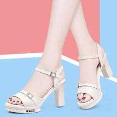 DB140  Casual Shoes - Leather Thick High Heels